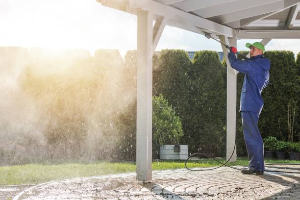 Best Graffiti Removal  in Woodside, PA